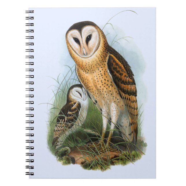 Caderno Espiral Notebook Grass Owl (80 Páginas B&W) (Frente)