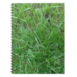 Caderno Espiral Notebook Grass Photo