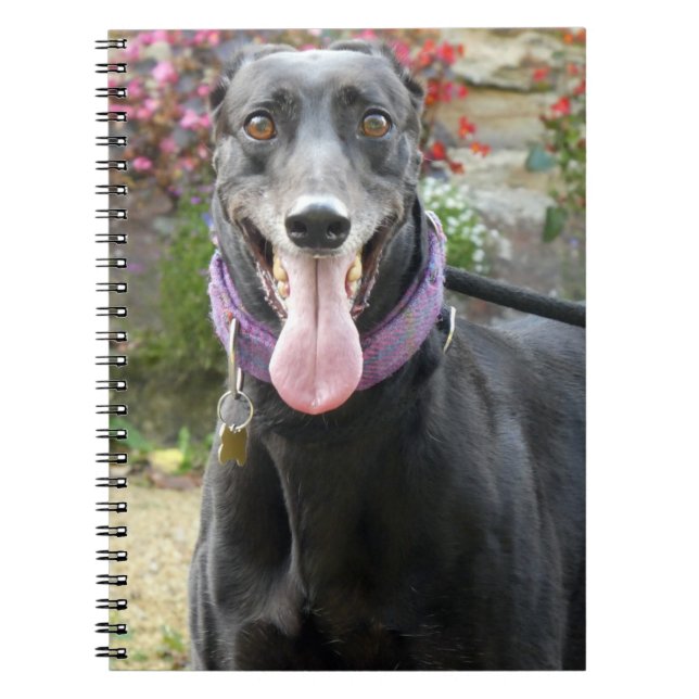 Caderno Espiral notebook Greyhound (Frente)