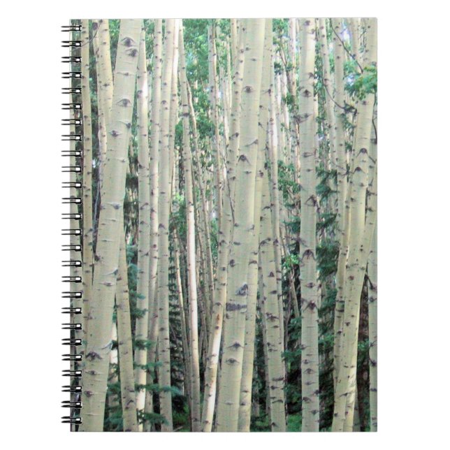 Caderno Espiral Notebook Grove of Mountain Aspen Trees (Frente)