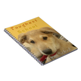 Caderno Espiral Notebook Hakuna Matata I Crave School