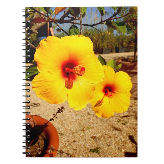Caderno Espiral Notebook Hibiscus Amarelo (Frente)