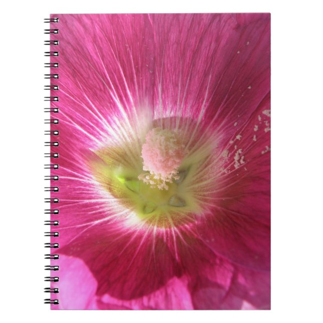 Caderno Espiral Notebook Hollyhock Deep Pink (Frente)