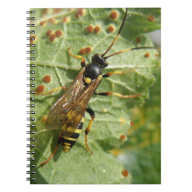 Caderno Espiral Notebook Hoverfly (Frente)