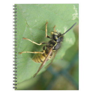 Caderno Espiral Notebook Hoverfly Macro
