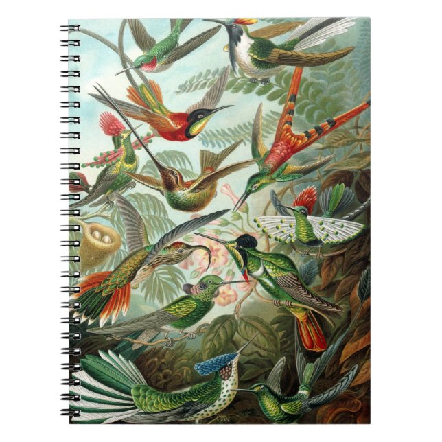 Caderno Espiral Notebook Hummingbird (Frente)
