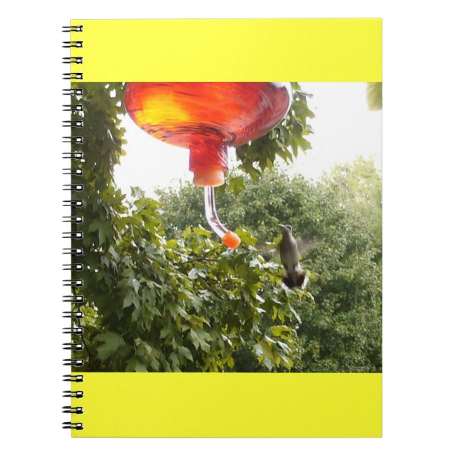Caderno Espiral Notebook Hummingbird 2 (Frente)