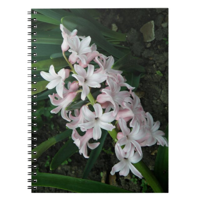 Caderno Espiral Notebook Hyacinths (Frente)