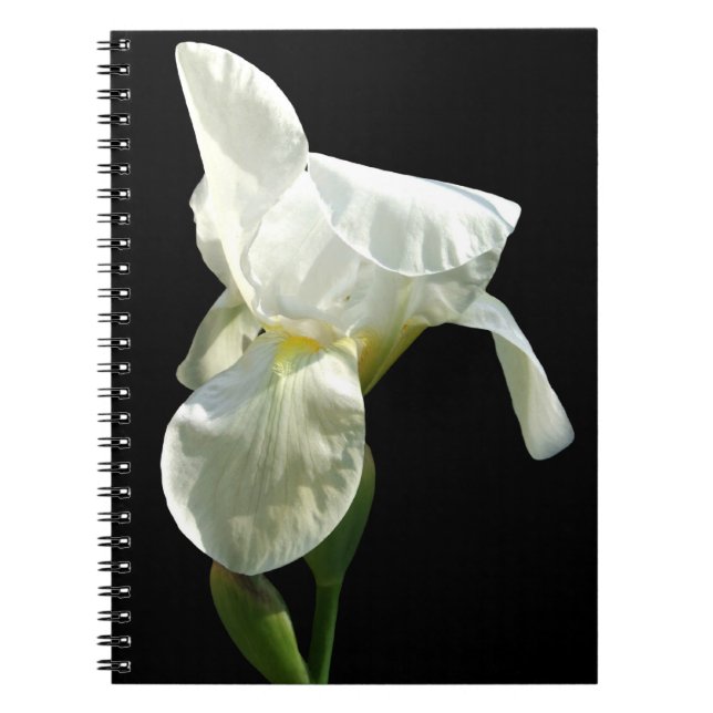 Caderno Espiral Notebook Iris (Frente)