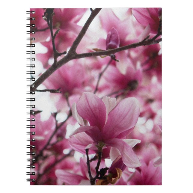 Caderno Espiral Notebook japonês Magnolia (Frente)