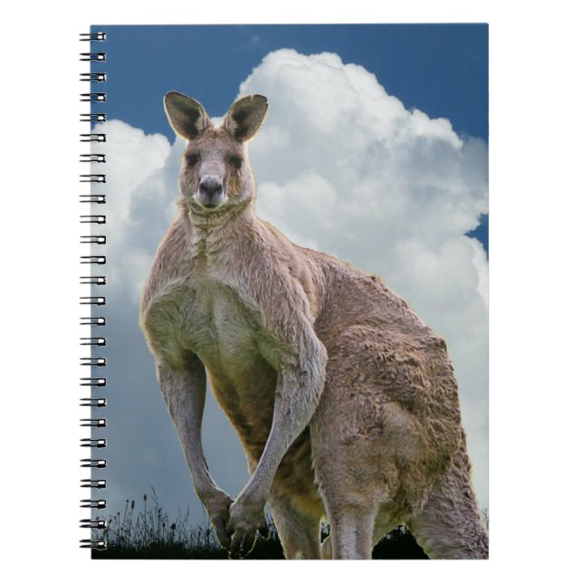 Caderno Espiral Notebook Kangaroo (Frente)