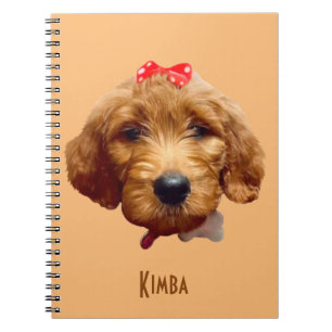 Caderno Espiral Notebook Kimba
