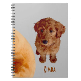 Caderno Espiral Notebook Kimba