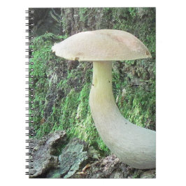 Caderno Espiral Notebook King Mushroom