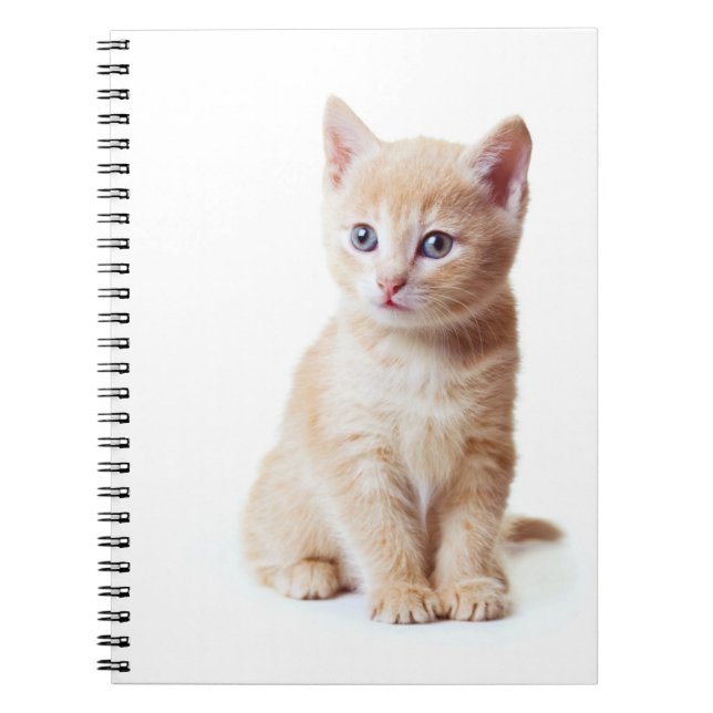 Caderno Espiral Notebook Kitten (Frente)