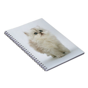Caderno Espiral Notebook-Kitten