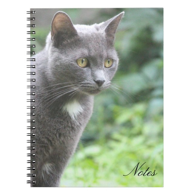 Caderno Espiral Notebook Kitty Cat (Frente)
