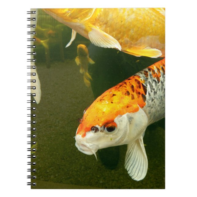 Caderno Espiral Notebook Koi Carp (Frente)