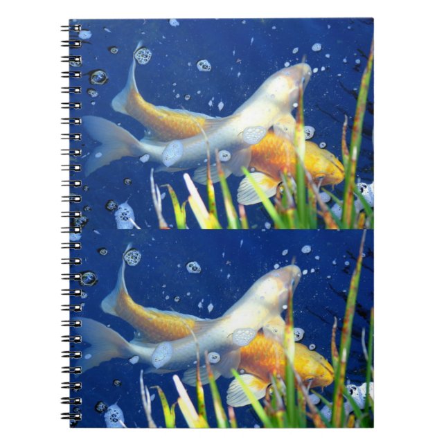 Caderno Espiral notebook koi carp japonês (Frente)