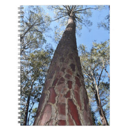 Caderno Espiral Notebook La Gerche Ponderosa Pine Spiral