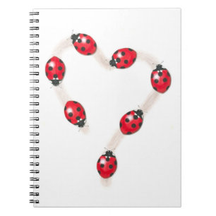 Caderno Espiral Notebook Ladybug Heart