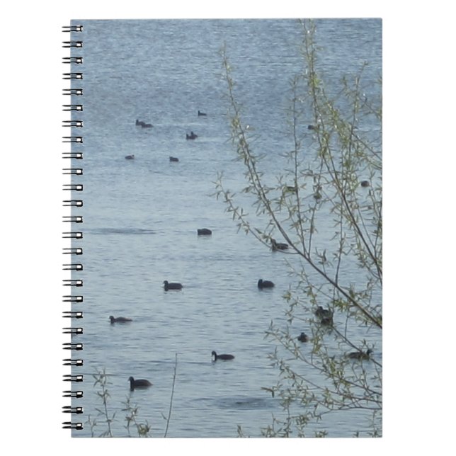Caderno Espiral Notebook Lake Birds (Frente)
