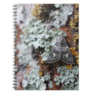 Caderno Espiral Notebook Lichen Moth camuflado