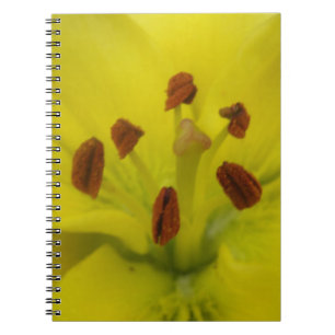 Caderno Espiral Notebook Lily Floral Amarelo