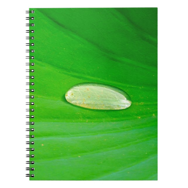 Caderno Espiral Notebook Lily Pad Photo (Frente)