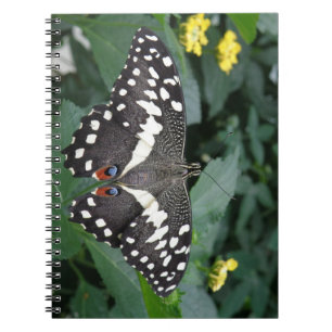 Caderno Espiral Notebook Limão Butterfly e Flowers