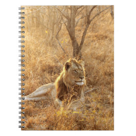 Caderno Espiral Notebook Lion