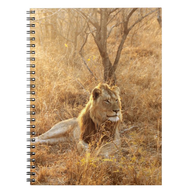 Caderno Espiral Notebook Lion (Frente)