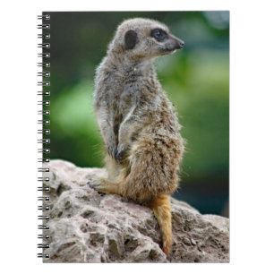Caderno Espiral Notebook Lone Meerkat