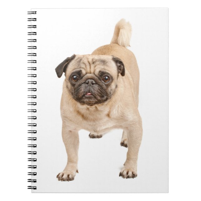 Caderno Espiral Notebook Love Pug Puppy Dog / Diário (Frente)