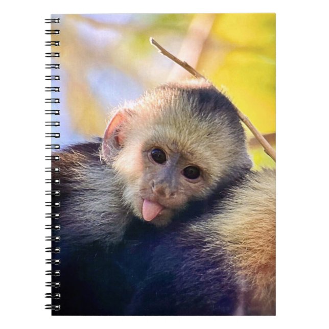 Caderno Espiral Notebook Macaco Engraçado (Frente)