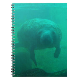 Caderno Espiral Notebook Manatee Spiral