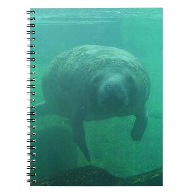 Caderno Espiral Notebook Manatee Spiral (Frente)