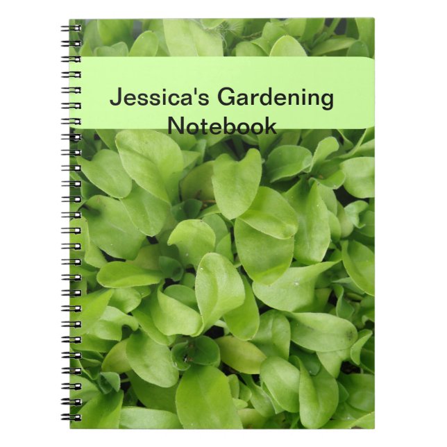 Caderno Espiral Notebook Marigold Seedlings Custom Gardening (Frente)
