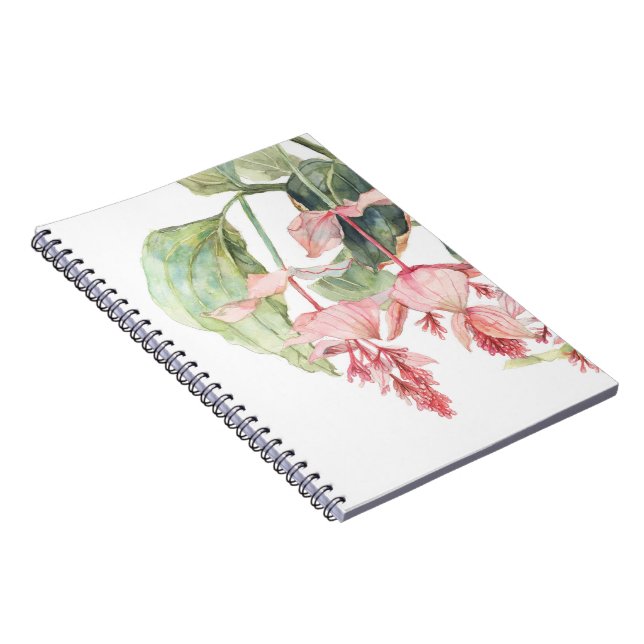 Caderno Espiral Notebook Medinilla Watercolor Illustration (Lado Direito)