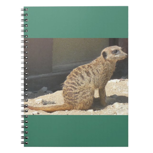 Caderno Espiral Notebook Meerkat (Frente)