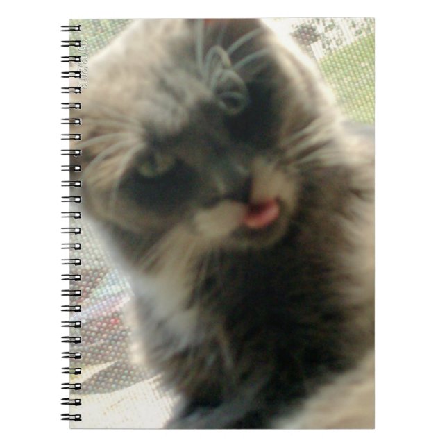 Caderno Espiral Notebook Meow Cats 2 (Frente)
