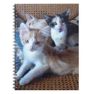 Caderno Espiral Notebook Meow Cats 21