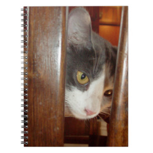 Caderno Espiral Notebook Meow Cats 27