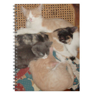 Caderno Espiral Notebook Meow Cats 29