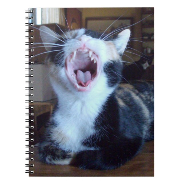 Caderno Espiral Notebook Meow Cats 30 (Frente)