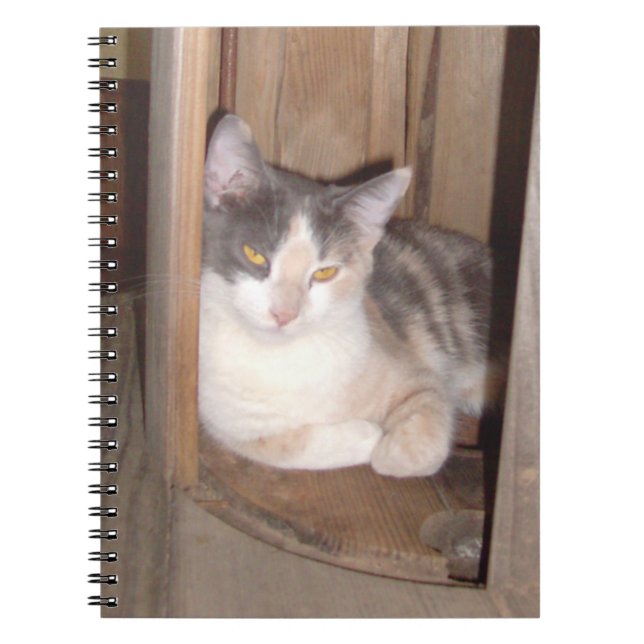 Caderno Espiral Notebook Meow Cats 33 (Frente)