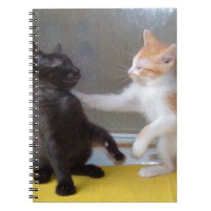 Caderno Espiral Notebook Meow Cats 34