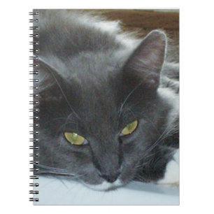 Caderno Espiral Notebook Meow Cats 8