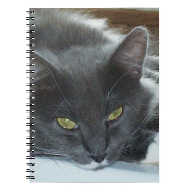 Caderno Espiral Notebook Meow Cats 8 (Frente)