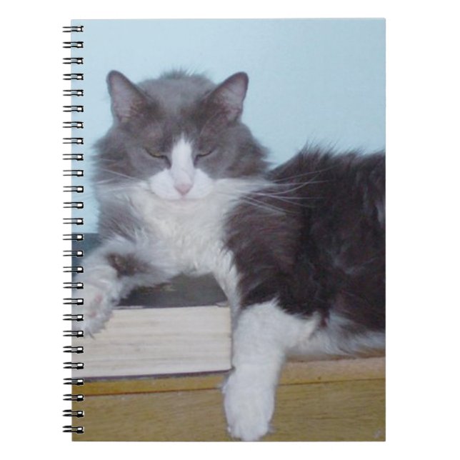 Caderno Espiral Notebook Meow Cats 9 (Frente)